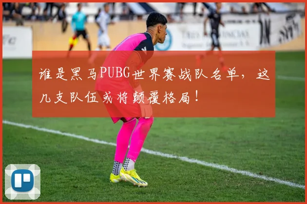 谁是黑马PUBG世界赛战队名单，这几支队伍或将颠覆格局！