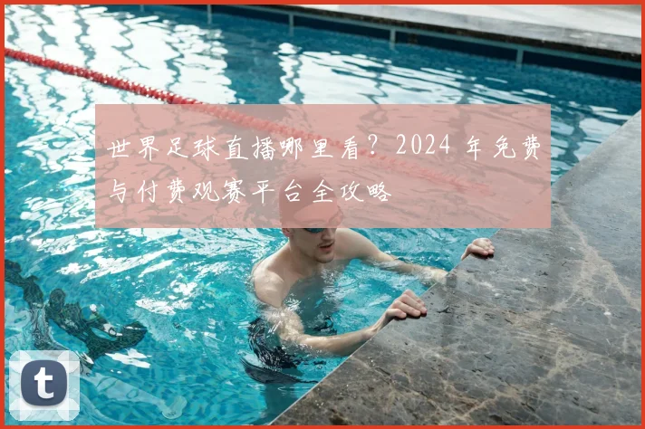 世界足球直播哪里看？2024 年免费与付费观赛平台全攻略
