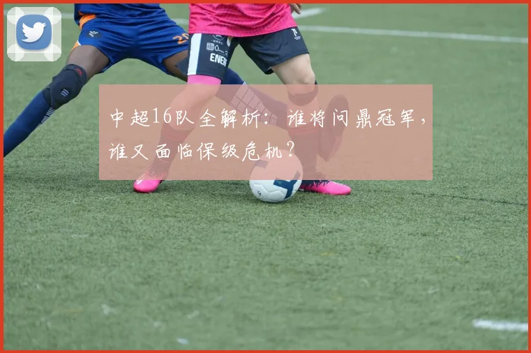 中超16队全解析：谁将问鼎冠军，谁又面临保级危机？