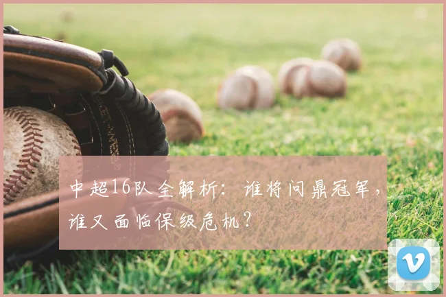 中超16队全解析：谁将问鼎冠军，谁又面临保级危机？